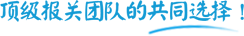 报关团队的共同选择